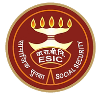 ESI logo ESI Logo
